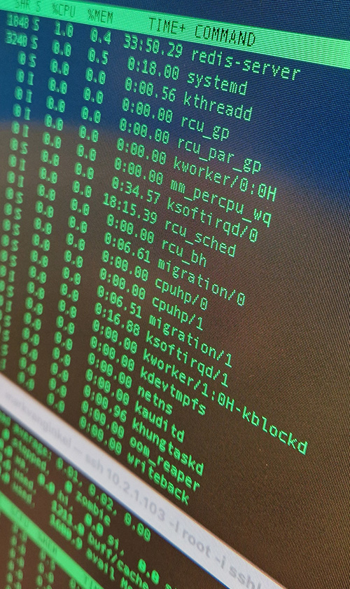 monitor
